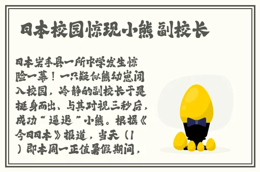 打扑克全过程软件哔哩哔哩